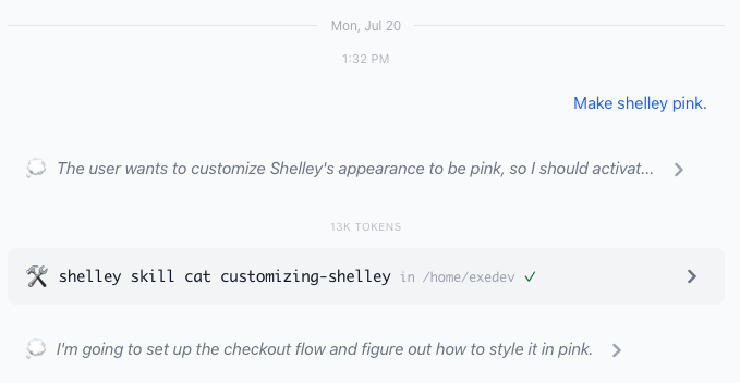 A Shelley conversation transcript where the user says 'Make shelley pink' and Shelley activates the customizing-shelley skill.