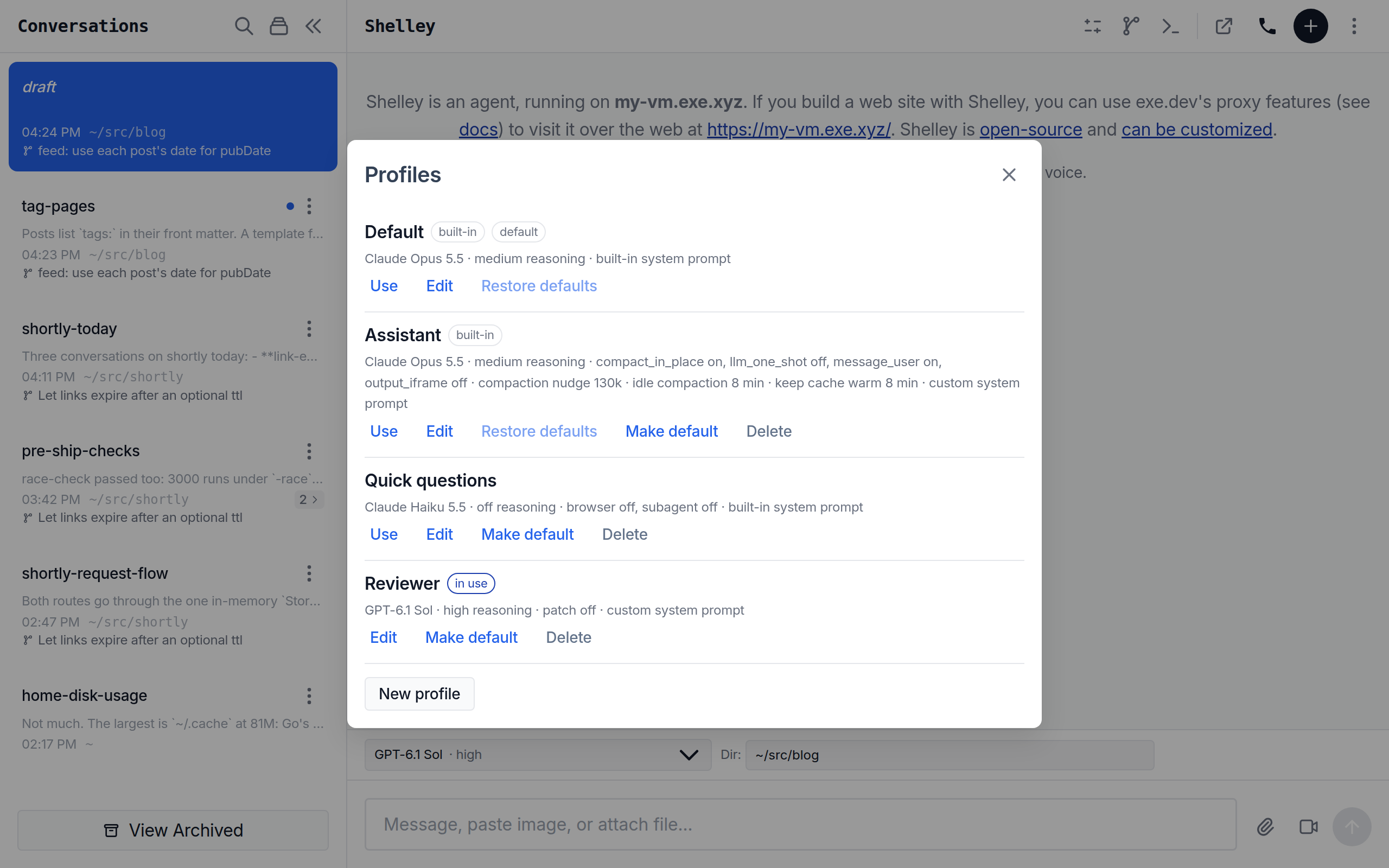 Shelley's Profiles dialog: Default, Assistant, Quick questions, and a custom Reviewer profile with its own model, reasoning effort, tools, and prompt.